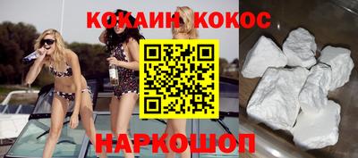 твердый Кингисепп