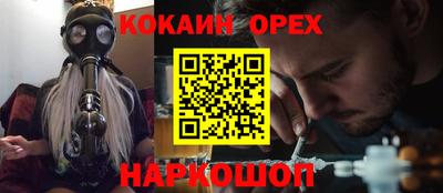 твердый Кингисепп