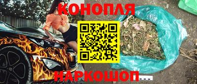 твердый Кингисепп