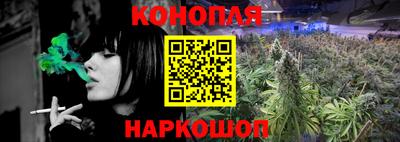 стаф Кимры