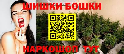 твердый Кингисепп