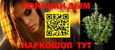 стаф Кимры