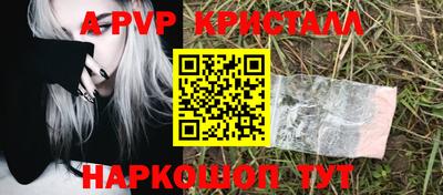 твердый Кингисепп